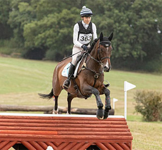 Duke of Dree Boeken