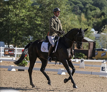 Ballindenisk