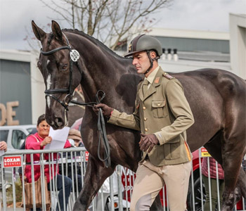 Boekelo