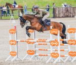 Ballindenisk