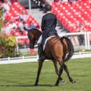 Giovanni Ugolotti of italy riding Oplitas taking part in the Dressage phase of the Mitsubishi Motors Horse Trials 2016