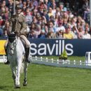 GIOVANNI UGOLOTTI (ITA) RIDING CULT REWIND IN THE DRESSAGE PHASE OF THE 2018 MITSUBISHI MOTORS BADMINTON HORSE TRIALS Giovanni Ugolotti & Cult Rewind, Badminton 2018, © Trevor Holt