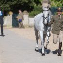 GIOVANNI UGOLOTTI (ITA) AND CULT REWIND AT THE FINAL HORSE INSPECTION OF THE 2018 MITSUBISHI MOTORS BADMINTON HORSE TRIALS Giovanni Ugolotti & Cult Rewind, Badminton 2018, © Trevor Holt
