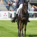 Kathryn Robinson (CAN) riding Let it Bee in the Dressage phase of the 2017 Mitsubishi Motors Badminton Horse Trials Kathryn & Let it Bee, 2017 Mitsubishi Motors Badminton © Trevor Holt