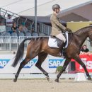 Giovanni Ugolotti (ITA) and Note Worthy taking part in the dressage phase of the 2019 Longines FEI Eventing European Championships Giovanni Ugolotti & Note Worthy, dressage phase EU-CH Luhmuhlen © Trevor Holt