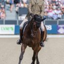 Giovanni Ugolotti (ITA) and Note Worthy taking part in the dressage phase of the 2019 Longines FEI Eventing European Championships Giovanni Ugolotti & Note Worthy, dressage phase EU-CH Luhmuhlen © Trevor Holt