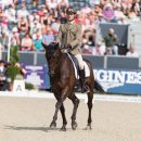 Giovanni Ugolotti (ITA) and Note Worthy taking part in the dressage phase of the 2019 Longines FEI Eventing European Championships Giovanni Ugolotti & Note Worthy, dressage phase EU-CH Luhmuhlen © Trevor Holt