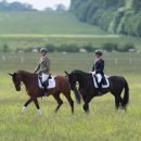 GIOVANNI UGOLOTTI AND LARK ABOUT Giovanni Ugolotti & Lark About, Houghton © Trevor Holt